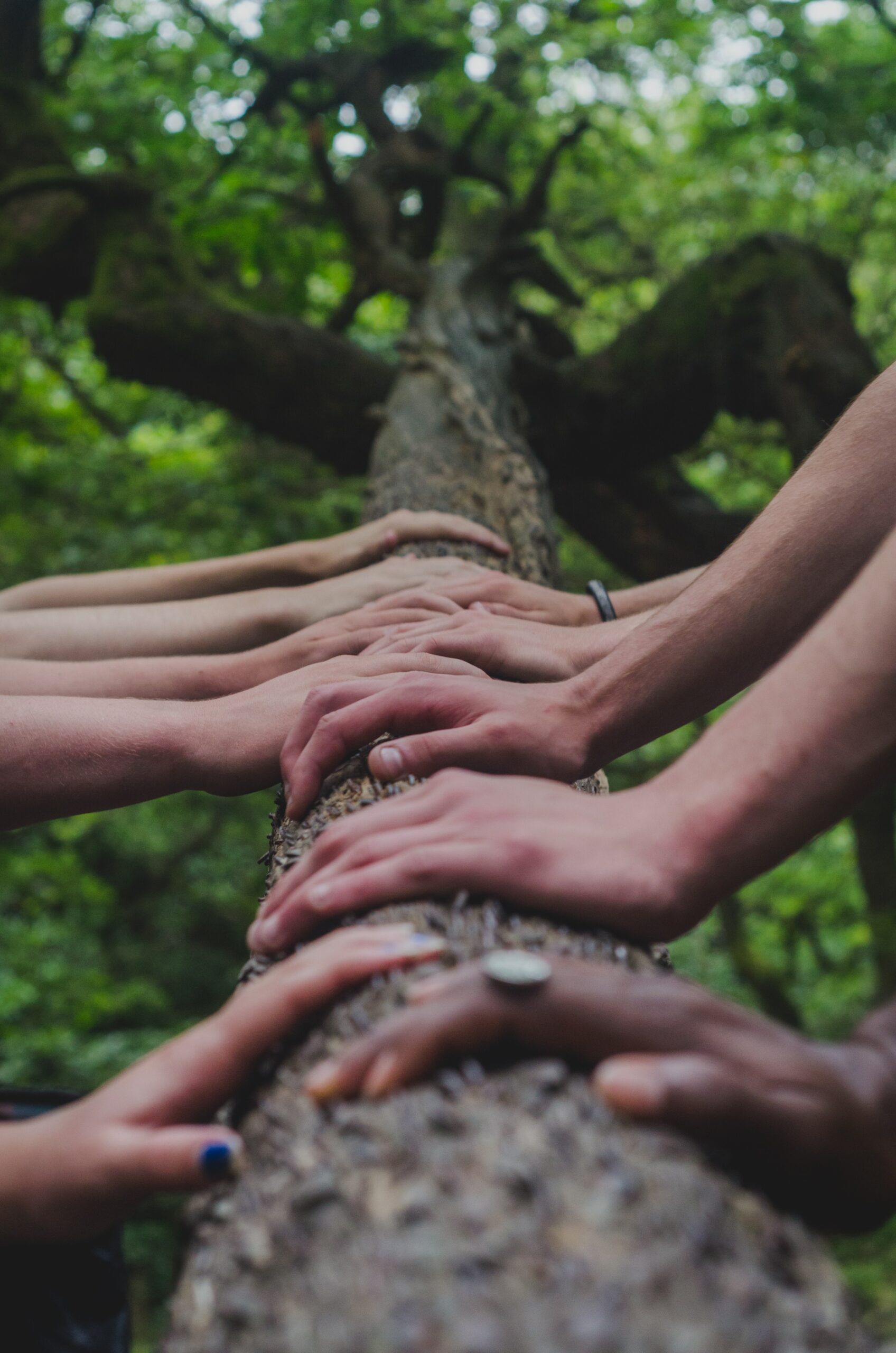 La tendance à un événementiel d’entreprise plus responsable se confirme !