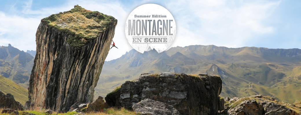 affiche d'un évènement ecologique à toulouse " montagne en scène"