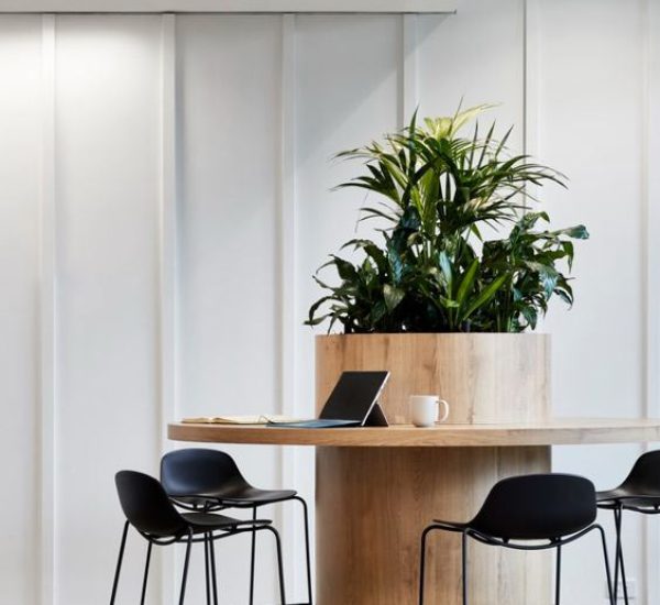 espace-de-travail-la-seve-greenworking