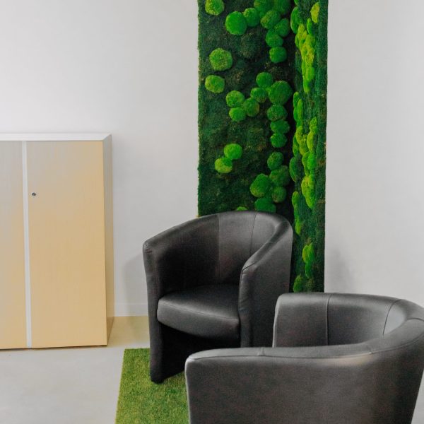 location salle toulouse - La seve-3 (13)