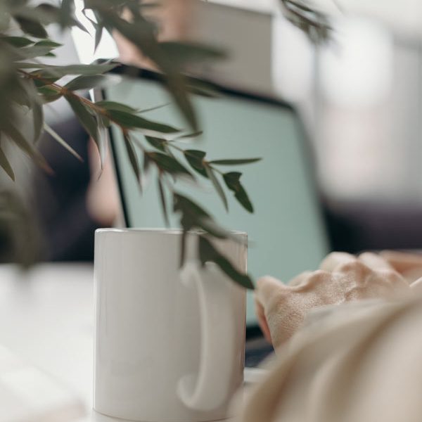 poste-de-travail-esapce-coworking-laseve-greenworking